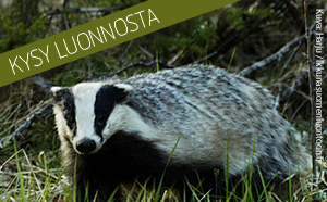 kysyluonnosta