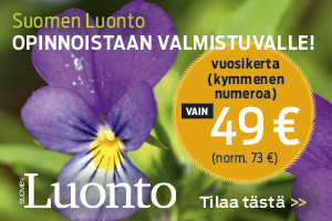 tilausbanneri_valmistuvalle