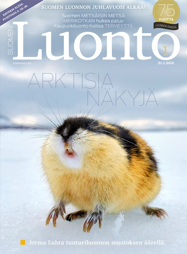 Kannen kuva: Jorma Luhta