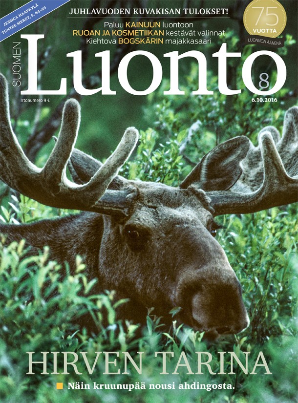Kannen kuva: Heikki Willamo