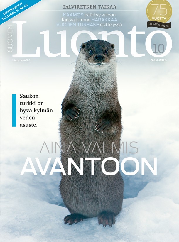 Kannen kuva: Jari Peltomäki